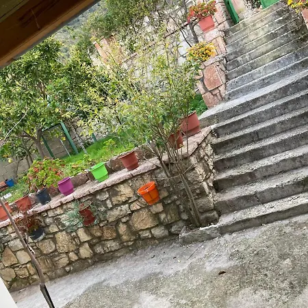 Dona Apartmán Lukovë